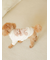【CAT&DOG】トイプードルジャガードハイネックプルオーバー