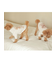 【CAT&DOG】トイプードルジャガードハイネックプルオーバー