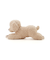 【Sleep】トイプードル ピロークッション