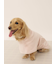 【CAT&DOG】マイクロファイバーガウン