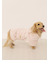 【CAT&DOG】マイクロファイバーガウン