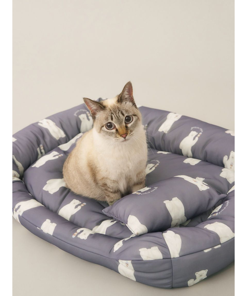 ありなっくま★新品 ピンクラテ★接触冷感ワッペンカ-ゴパンツ 160 CAT&DOG】【接触冷感】シロクマ柄COOLINGベッドMサイズ