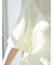 シアーTシャツ