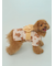 【CAT&DOG】浴衣