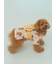 【CAT&DOG】浴衣