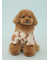 【CAT&DOG】浴衣