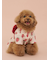 【CAT&DOG】浴衣