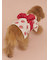 【CAT&DOG】浴衣