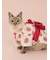 【CAT&DOG】浴衣