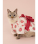 【CAT&DOG】浴衣
