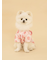 【CAT&DOG】浴衣