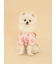 【CAT&DOG】浴衣