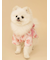 【CAT&DOG】浴衣
