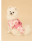 【CAT&DOG】浴衣