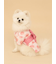 【CAT&DOG】浴衣
