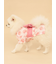 【CAT&DOG】浴衣