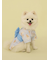 【CAT&DOG】浴衣
