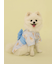 【CAT&DOG】浴衣