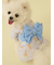 【CAT&DOG】浴衣