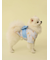 【CAT&DOG】浴衣
