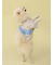 【CAT&DOG】浴衣
