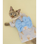 【CAT&DOG】浴衣