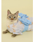【CAT&DOG】浴衣
