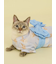 【CAT&DOG】浴衣