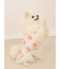 【CAT&DOG】【接触冷感】フルーツ柄プルオーバー