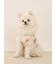 【CAT&DOG】【接触冷感】フルーツ柄プルオーバー