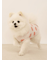 【CAT&DOG】【接触冷感】フルーツ柄プルオーバー