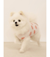 【CAT&DOG】【接触冷感】フルーツ柄プルオーバー