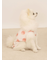 【CAT&DOG】【接触冷感】フルーツ柄プルオーバー