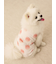 【CAT&DOG】【接触冷感】フルーツ柄プルオーバー