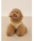 【CAT&DOG】【接触冷感】フルーツ柄プルオーバー