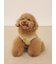 【CAT&DOG】【接触冷感】フルーツ柄プルオーバー