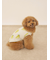 【CAT&DOG】【接触冷感】フルーツ柄プルオーバー