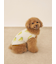 【CAT&DOG】【接触冷感】フルーツ柄プルオーバー