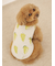 【CAT&DOG】【接触冷感】フルーツ柄プルオーバー
