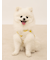 【CAT&DOG】【接触冷感】フルーツ柄プルオーバー