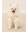 【CAT&DOG】【接触冷感】フルーツ柄プルオーバー