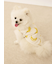 【CAT&DOG】【接触冷感】フルーツ柄プルオーバー