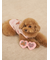 【CAT&DOG】トイプードルサングラストイ