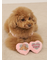 【CAT&DOG】トイプードルサングラストイ