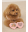 【CAT&DOG】トイプードルサングラストイ
