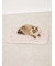 【CAT&DOG】【接触冷感】SHARK柄COOLINGマット