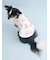 【CAT&DOG】【Birthday】バースデー柄プルオーバー
