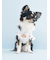 【CAT&DOG】【Birthday】バースデー柄プルオーバー