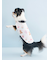 【CAT&DOG】【Birthday】バースデー柄プルオーバー