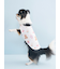 【CAT&DOG】【Birthday】バースデー柄プルオーバー